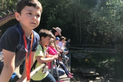 DINO-Park6
