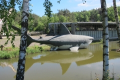 DINO_Park112