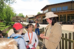 DINO_Park113
