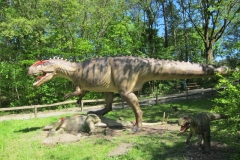 DINO_Park115