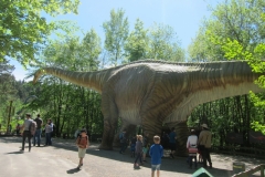 DINO_Park117