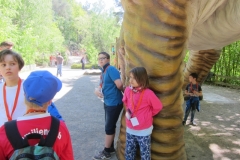 DINO_Park118