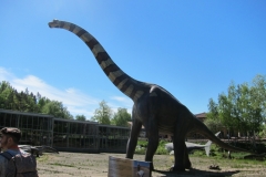 DINO_Park120