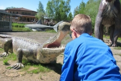 DINO_Park122