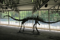 DINO_Park127
