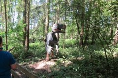 DINO_Park134