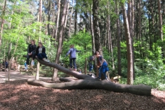 DINO_Park136