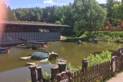 DINO_Park73