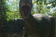 DINO_Park86