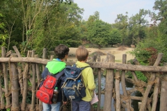 Erlebnis-Zoo Hannover am 23. September 2017 