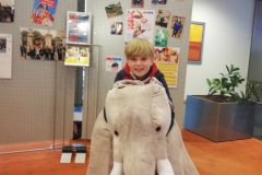 Knax-Sieger "Elefanten"-Gewinnspiel HERZLICHEN GLÜCKWUNSCH