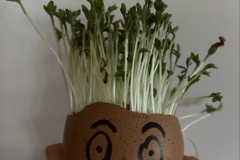 Julien