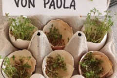 Paula