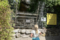 IMG_8017