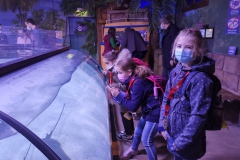 IMG_20220319_130225