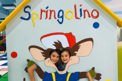 Springo 4