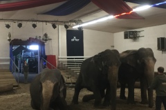 28358F32-C49E-4363-8B30-168561482CF1