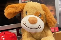 Weltspartag2025_Deko1