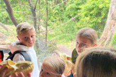 Zoo Hannover am 23.08.2025
