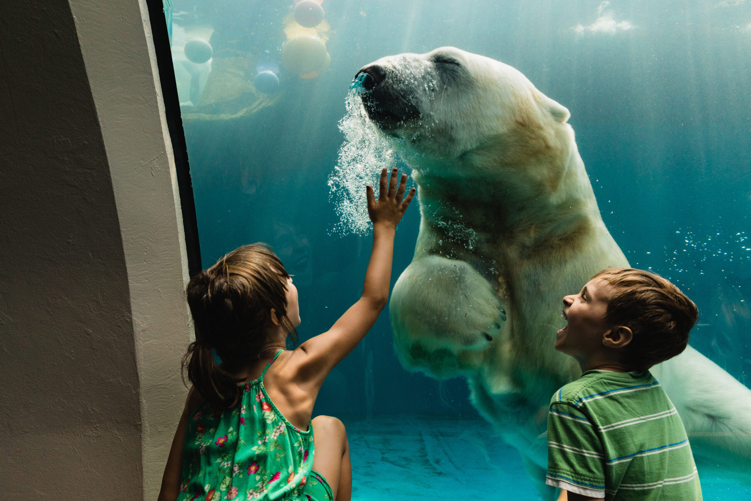 "Tierischer Kinderspaß" im ZOO Hannover